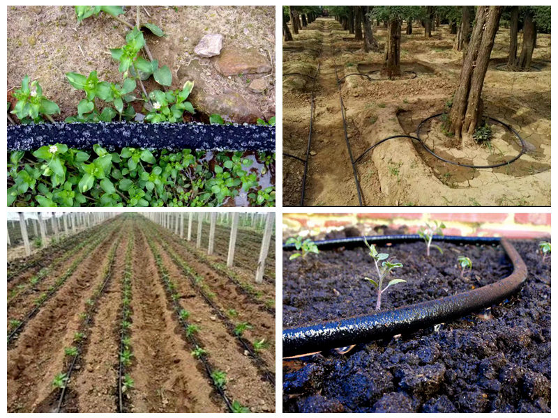 நீர்ப்பாசனத்திற்கு ரப்பர் சோக்கர் குழாய் எவ்வாறு பயன்படுத்தப்படுகிறது?